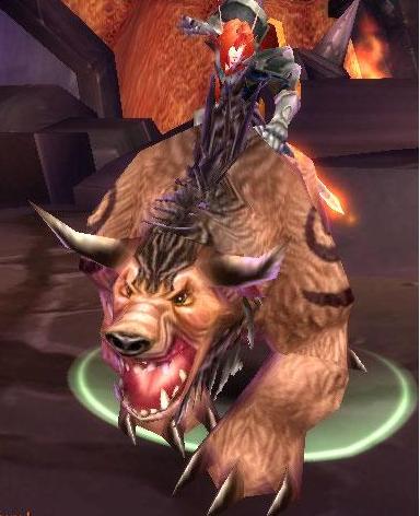 Monture aurox 2.JPG