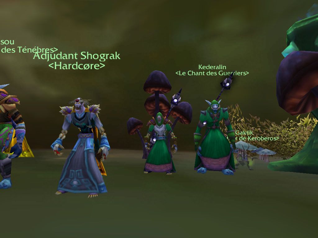 WoWScrnShot_070408_233826.jpg