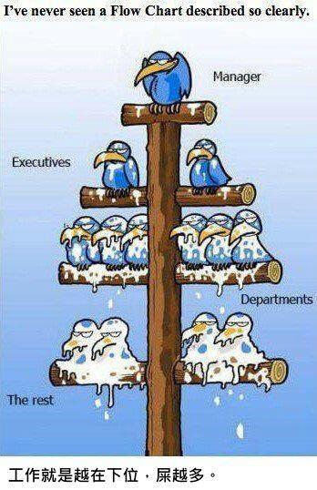 Management Flow Chart